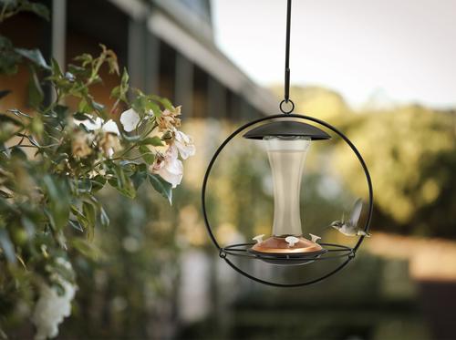Show full view: Audubon Contemporary Floating Sphere Hummingbird Feeder, 16-oz slide 2 of 3