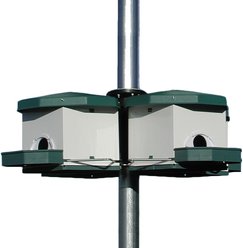 Audubon Deluxe Martin Bird House, Purple slide 1 of 3