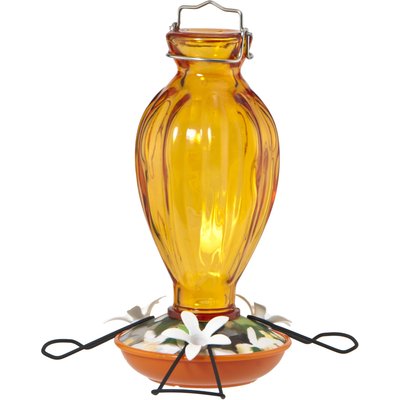 Audubon Audubon Fluted Glass Oriole Wild Bird Feeder, 20-oz