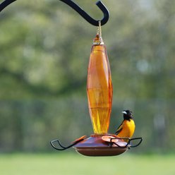 Audubon Jewel Cut Glass Oriole Wild Bird Feeder, 10-oz slide 2 of 2