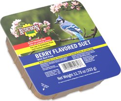 Audubon Park Berry Flavored Suet Cakes Wild Bird Food, 11.75-oz box, 12 count