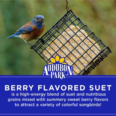 Show full view: Audubon Park Berry Flavored Suet Cakes Wild Bird Food, 11.75-oz box, 12 count slide 4 of 8