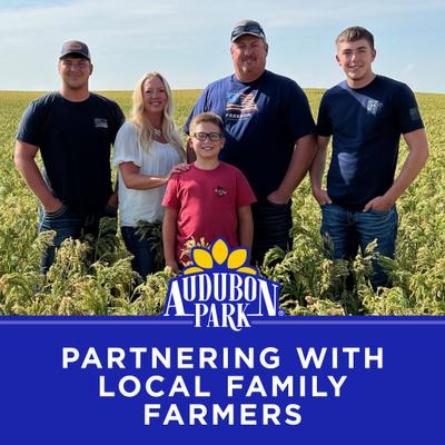 Show full view: Audubon Park Berry Flavored Suet Cakes Wild Bird Food, 11.75-oz box, 12 count slide 8 of 8