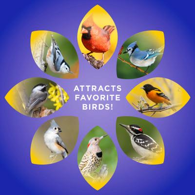 Show full view: Audubon Park Berry Flavored Suet Cakes Wild Bird Food, 11.75-oz box, 12 count slide 5 of 8