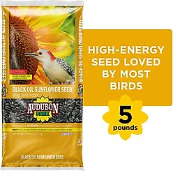 Audubon Park Black Oil Sunflower Seed Wild Bird Food, 5-lb bag