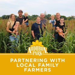 Audubon Park Black Oil Sunflower Seed Wild Bird Food, 5-lb bag slide 2 of 9