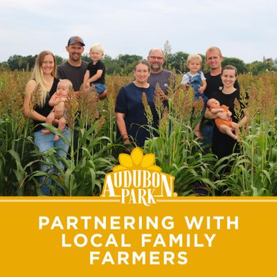 Show full view: Audubon Park Black Oil Sunflower Seed Wild Bird Food, 5-lb bag slide 9 of 10