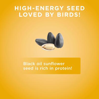 Show full view: Audubon Park Black Oil Sunflower Seed Wild Bird Food, 5-lb bag slide 7 of 10