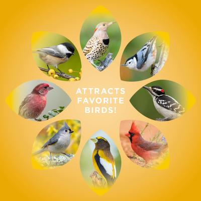 Show full view: Audubon Park Black Oil Sunflower Seed Wild Bird Food, 5-lb bag slide 6 of 10