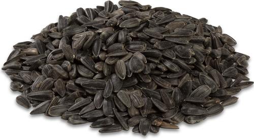 Show full view: Audubon Park Black Oil Sunflower Seed Wild Bird Food, 5-lb bag slide 3 of 10
