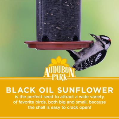 Show full view: Audubon Park Black Oil Sunflower Seed Wild Bird Food, 5-lb bag slide 4 of 10