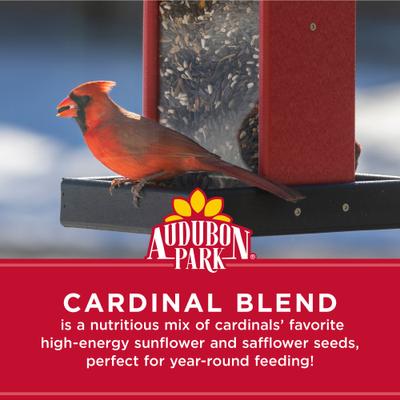 Show full view: Audubon Park Cardinal Blend Wild Bird Food, 4-lb bag slide 4 of 10