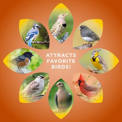 Show full view: Audubon Park Cracked Corn Seed Wild Bird Food, 5-lb bag slide 6 of 9