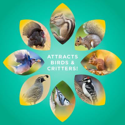 Show full view: Audubon Park Critter Crunch Wild Bird Food, 15-lb bag slide 6 of 10