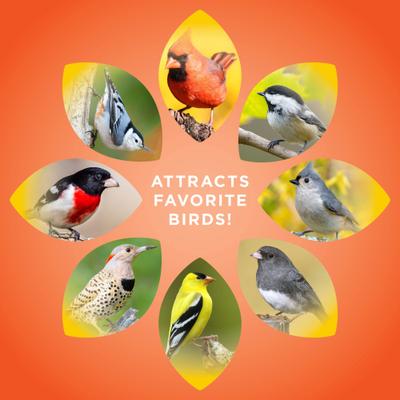 Show full view: Audubon Park High Energy Blend Wild Bird Food, 15-lb bag slide 6 of 10