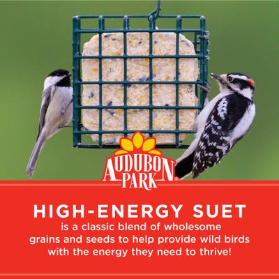 Show full view: Audubon Park High Energy Suet Cakes Wild Bird Food, 11-oz box, 12 count slide 4 of 8