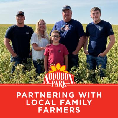 Show full view: Audubon Park High Energy Suet Cakes Wild Bird Food, 11-oz box, 12 count slide 8 of 8