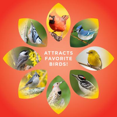 Show full view: Audubon Park High Energy Suet Cakes Wild Bird Food, 11-oz box, 12 count slide 5 of 8