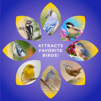 Show full view: Audubon Park Mealworm Snack Stack Seed Wild Bird Food, 8.5-oz box, 6 count slide 5 of 8