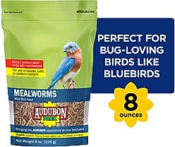 Audubon Park Mealworms Wild Bird Food, 0.5-lb bag