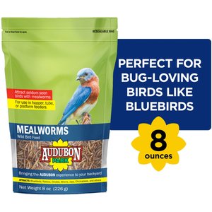 Audubon Park Mealworms Wild Bird Food, 0.5-lb bag