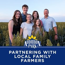 Audubon Park Mealworms Wild Bird Food, 0.5-lb bag slide 2 of 8