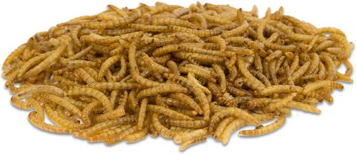 Show full view: Audubon Park Mealworms Wild Bird Food, 0.5-lb bag slide 3 of 8