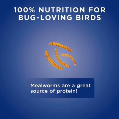Show full view: Audubon Park Mealworms Wild Bird Food, 0.5-lb bag slide 6 of 8
