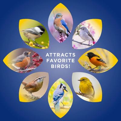 Show full view: Audubon Park Mealworms Wild Bird Food, 0.5-lb bag slide 5 of 8