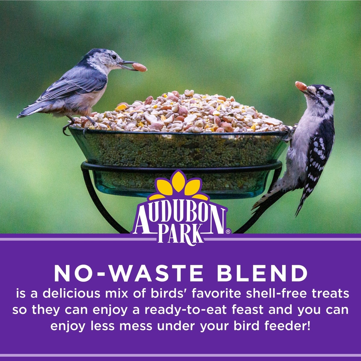 AUDUBON PARK No Waste Blend Wild Bird Food, 5-lb bag
