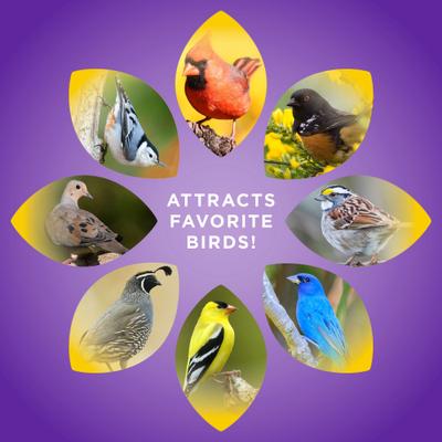 Show full view: Audubon Park No Waste Blend Wild Bird Food, 5-lb bag slide 6 of 10