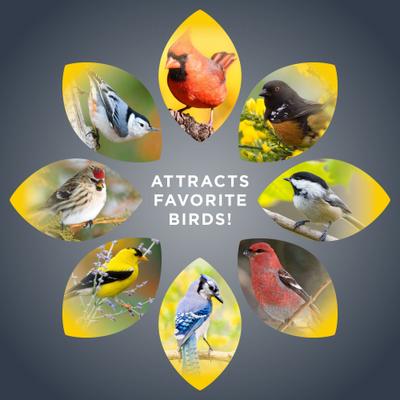 Show full view: Audubon Park Northeast Blend Wild Bird Food, 20-lb bag slide 6 of 10