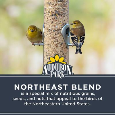 Show full view: Audubon Park Northeast Blend Wild Bird Food, 20-lb bag slide 4 of 10