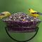 Show in main carousel: Audubon Park Nut, Fruit & Berry Wild Bird Food, 15-lb bag slide 8 of 11