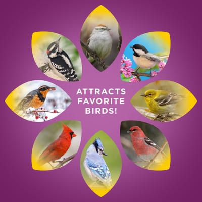 Show full view: Audubon Park Nut, Fruit & Berry Wild Bird Food, 15-lb bag slide 6 of 11