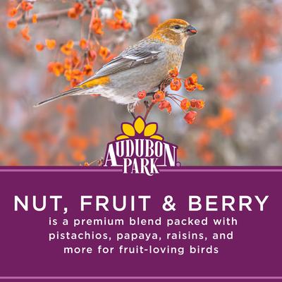 Show full view: Audubon Park Nut, Fruit & Berry Wild Bird Food, 15-lb bag slide 4 of 11