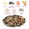 Show in main carousel: Audubon Park Nut & Fruit Seed Blends Wild Bird Food, 5-lb bag slide 4 of 10