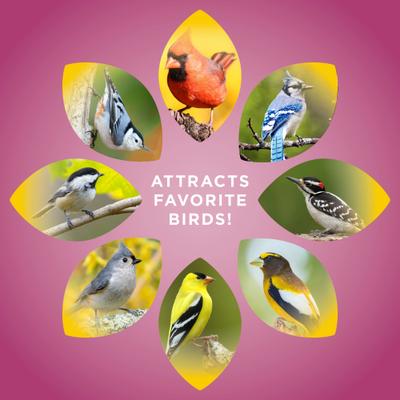 Show full view: Audubon Park Nut & Fruit Seed Blends Wild Bird Food, 5-lb bag slide 6 of 10