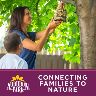 Show full view: Audubon Park Nut & Fruit Seed Cake Wild Bird Food, 24-oz box, 6 count slide 8 of 9