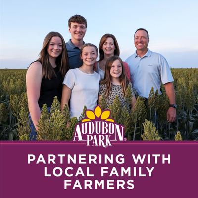 Show full view: Audubon Park Nut & Fruit Seed Cake Wild Bird Food, 24-oz box, 6 count slide 9 of 9