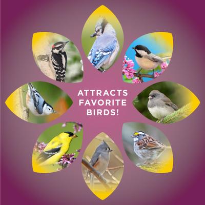 Show full view: Audubon Park Nut & Fruit Seed Cake Wild Bird Food, 24-oz box, 6 count slide 7 of 9