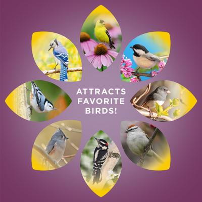 Show full view: Audubon Park Nut & Fruit Snack Stack Seed Wild Bird Food, 7-oz box, 6 count slide 4 of 8