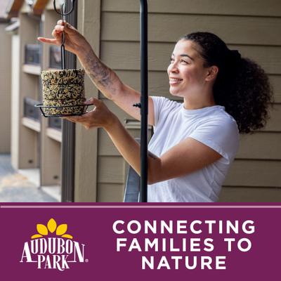 Show full view: Audubon Park Nut & Fruit Snack Stack Seed Wild Bird Food, 7-oz box, 6 count slide 6 of 8