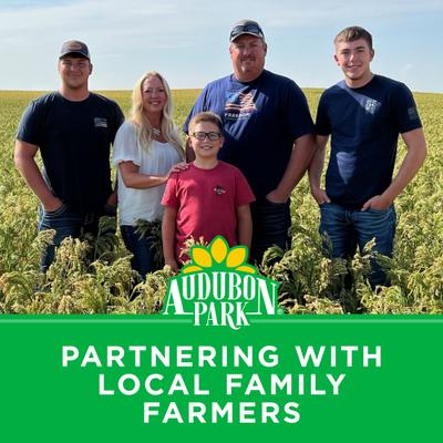 Show full view: Audubon Park Nutty Treat Suet Cakes Wild Bird Food, 11-oz box, 12 count slide 8 of 9