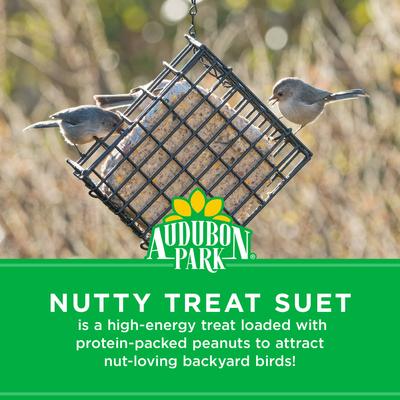 Show full view: Audubon Park Nutty Treat Suet Cakes Wild Bird Food, 11-oz box, 12 count slide 4 of 9
