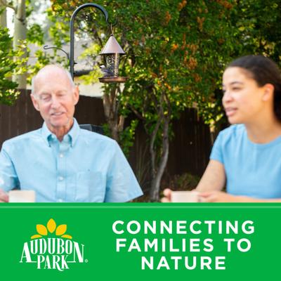 Show full view: Audubon Park Nutty Treat Suet Cakes Wild Bird Food, 11-oz box, 12 count slide 7 of 9