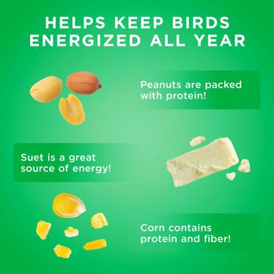 Show full view: Audubon Park Nutty Treat Suet Cakes Wild Bird Food, 11-oz box, 12 count slide 5 of 9