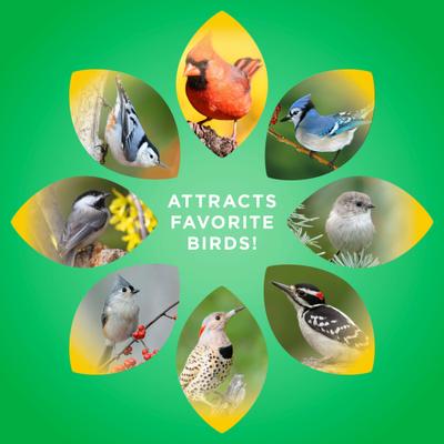 Show full view: Audubon Park Nutty Treat Suet Cakes Wild Bird Food, 11-oz box, 12 count slide 6 of 9