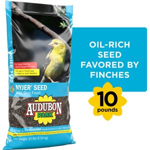 Audubon Park Nyjer Seed Wild Bird Food, 10-lb bag