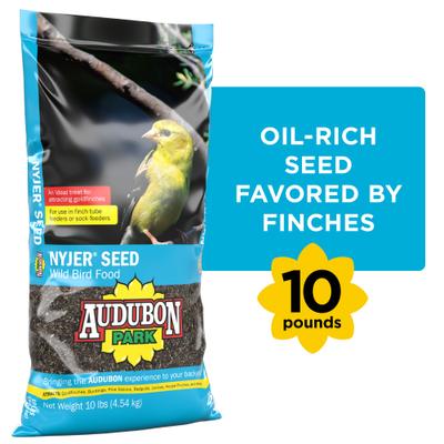 Show full view: Audubon Park Nyjer Seed Wild Bird Food, 10-lb bag slide 1 of 10